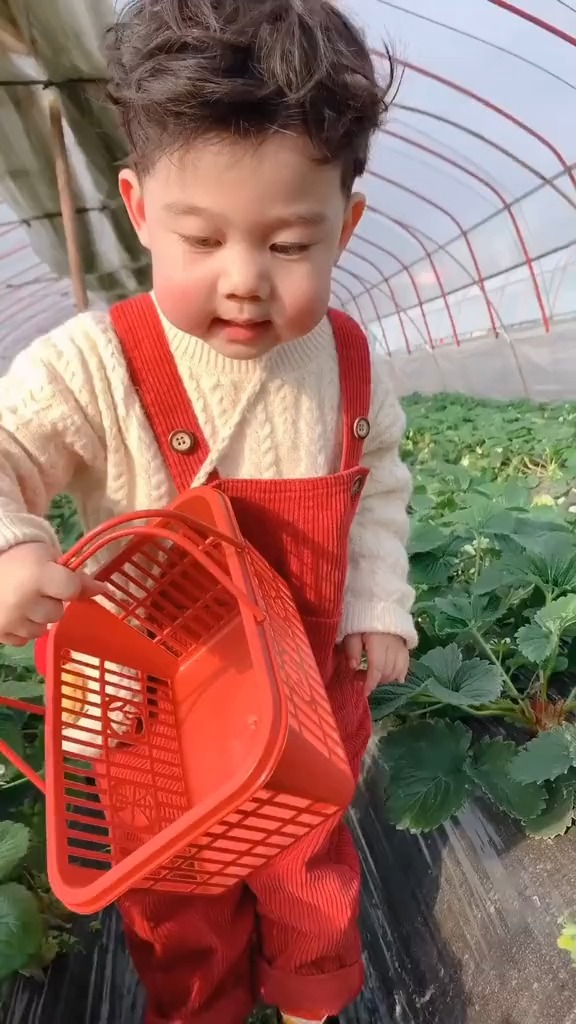 啊没有没有没有蜜蜂被你的小结巴可爱到了