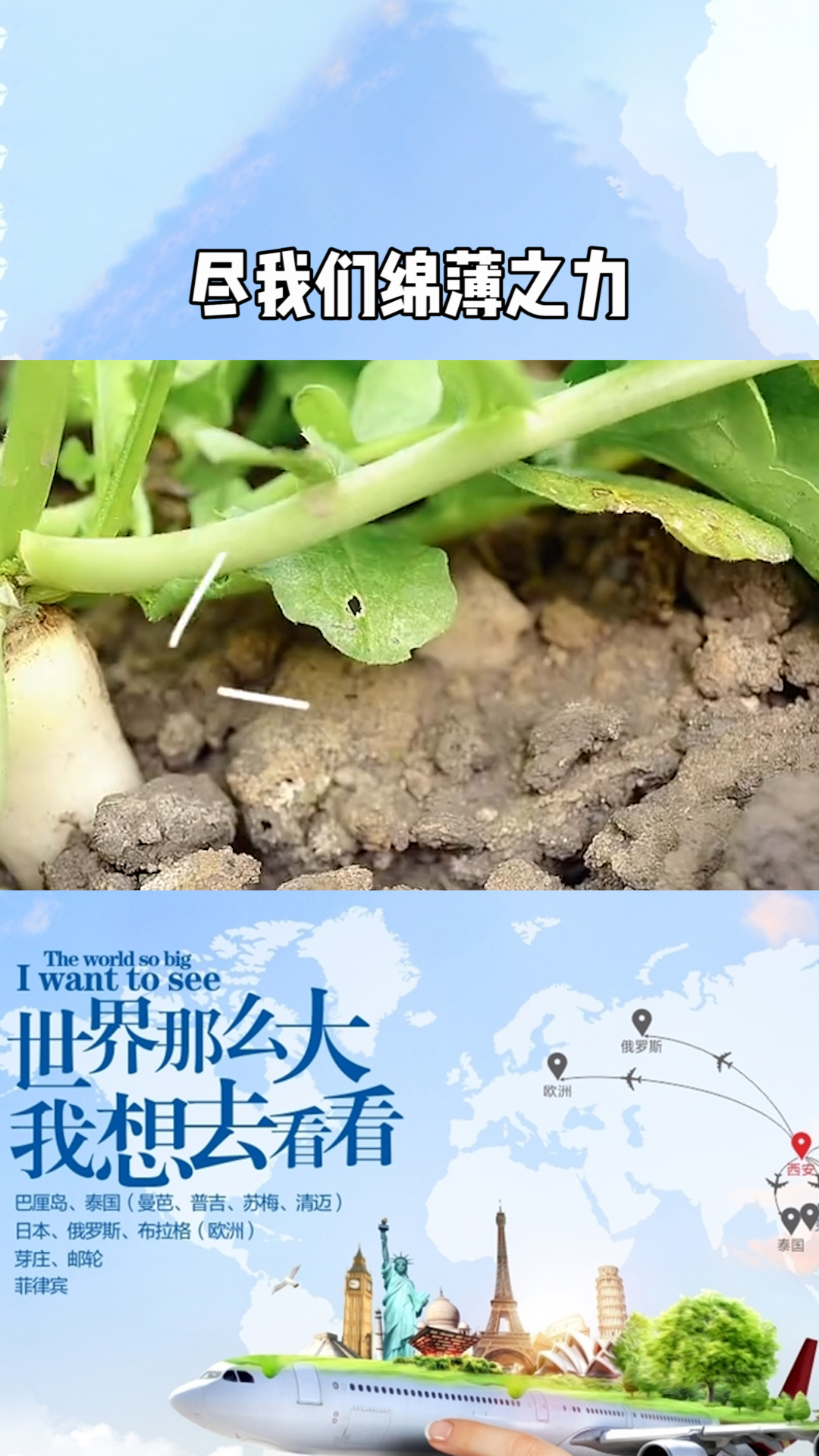 成语项背什么_不接是什么成语(4)