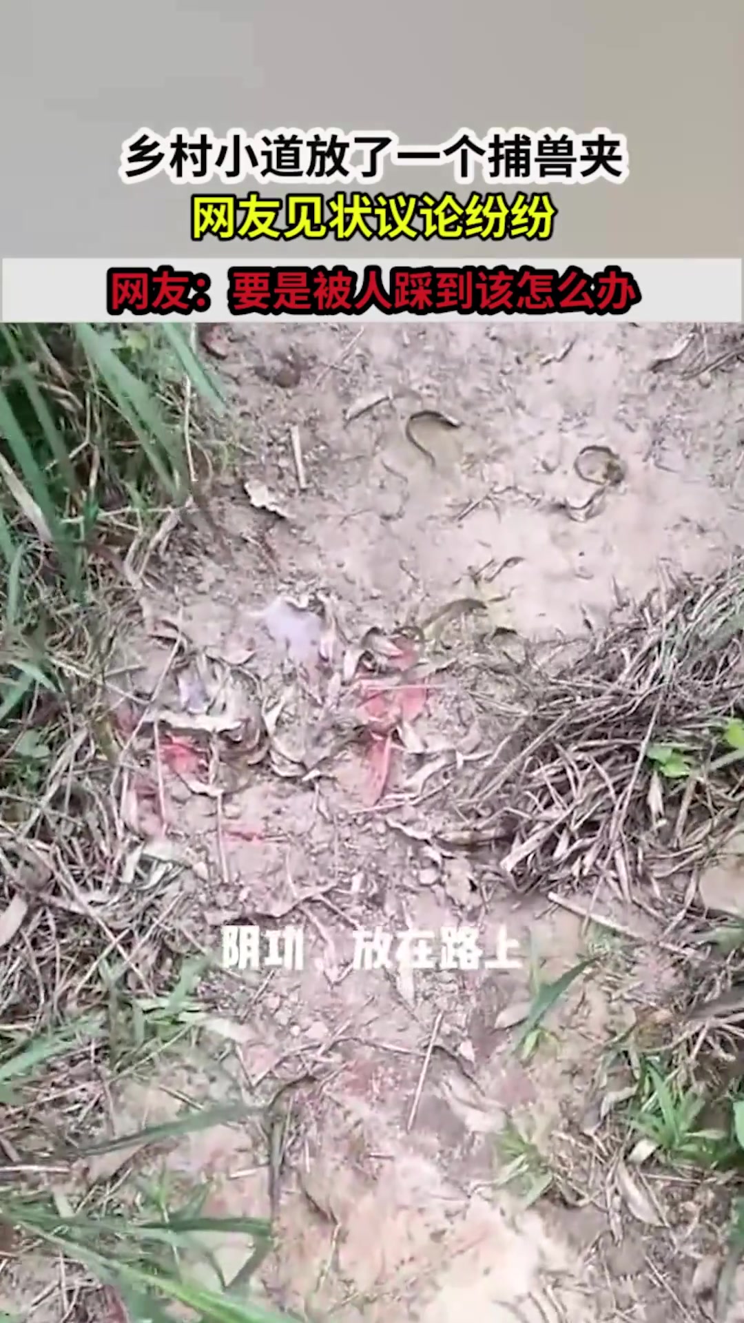 乡村小道放了一个捕兽夹,网友见状议论纷纷