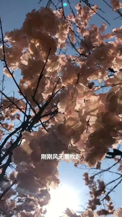 你曾经坐在这里 谈吐得那么阔气 就像是所有幸福都能被预期