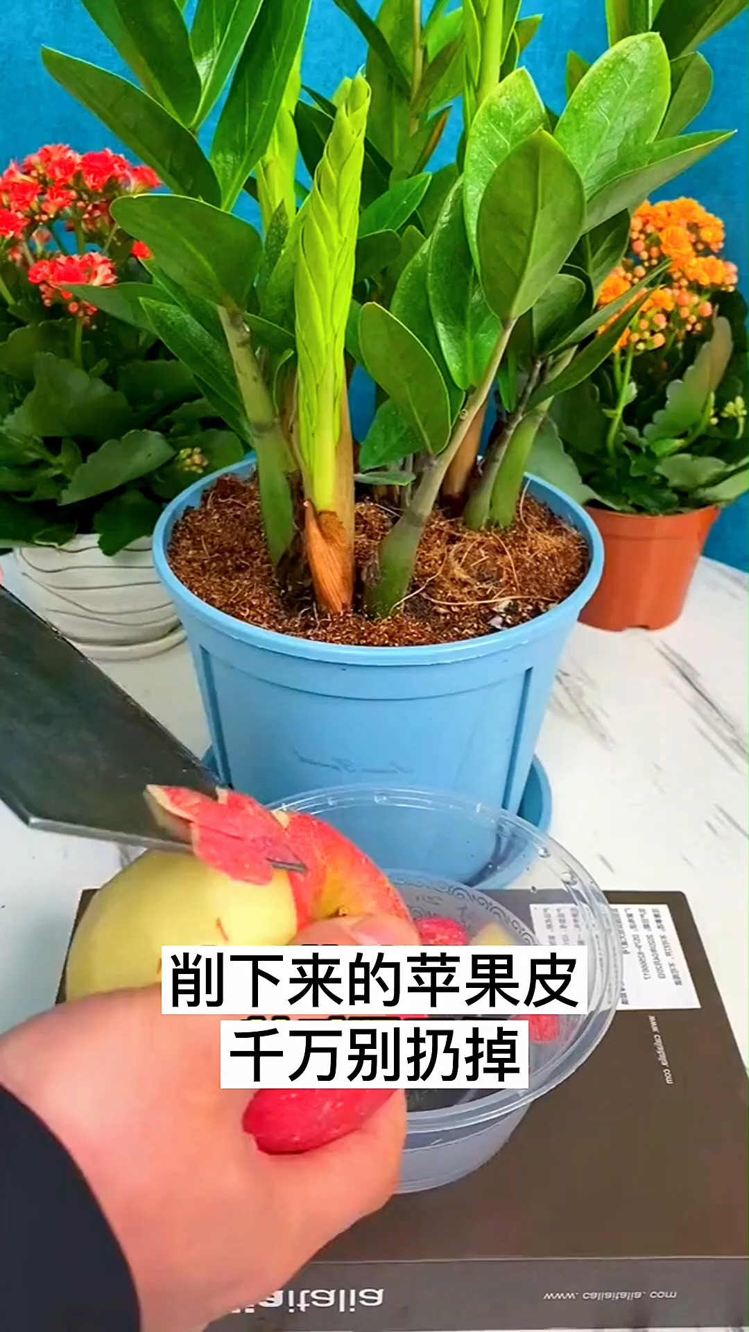 0