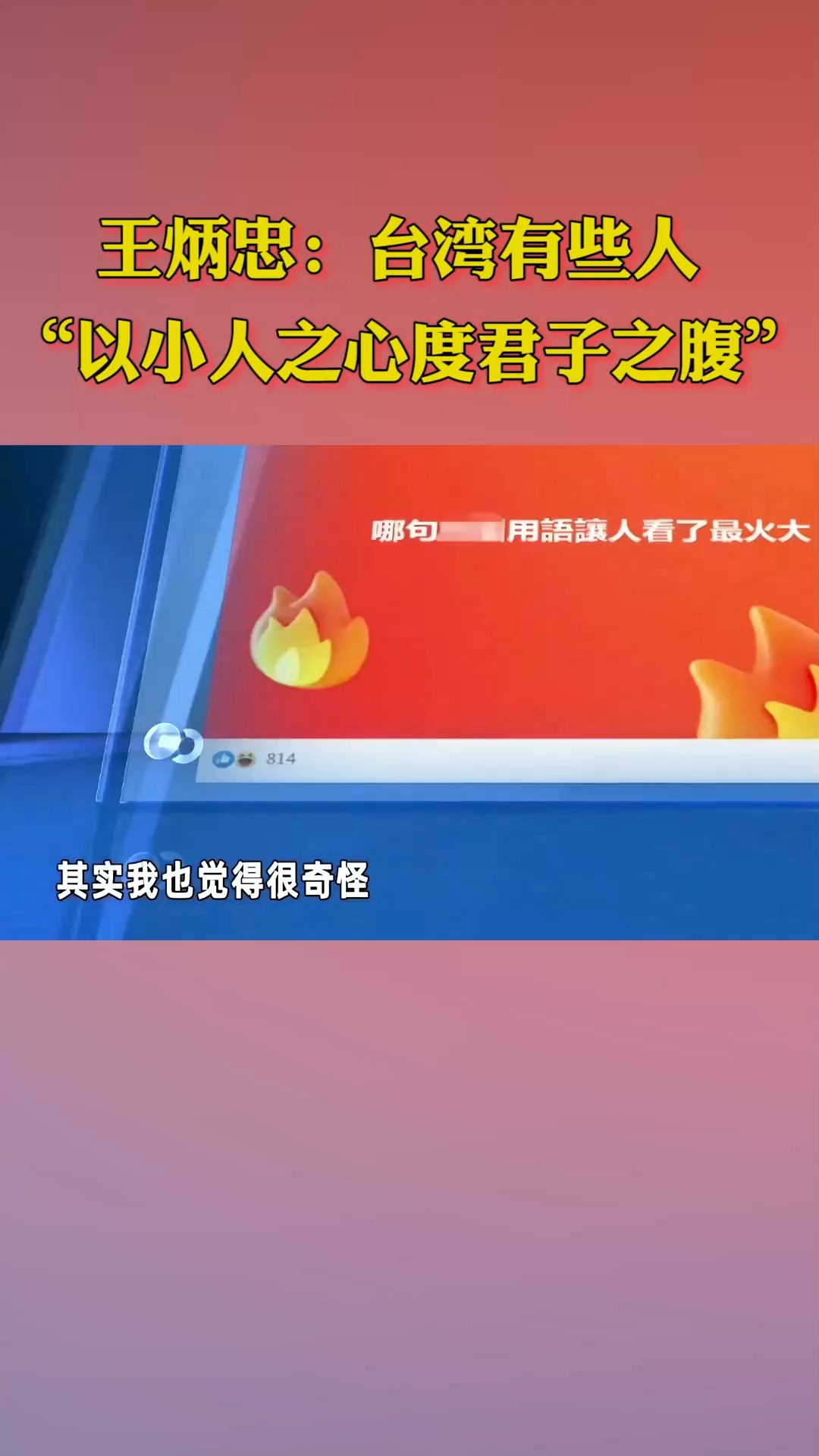 王炳忠:台湾有些人“以小人之心度君子之腹”