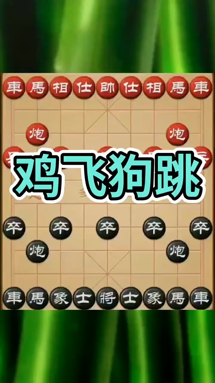 鸡飞狗跳绝对精彩