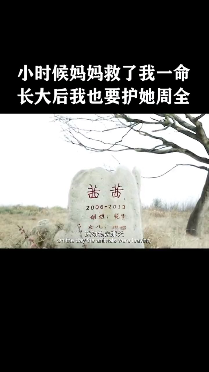 狮子座女与双子座女：星座情缘的深度剖析（狮子座女和双子座女在一起合适吗）