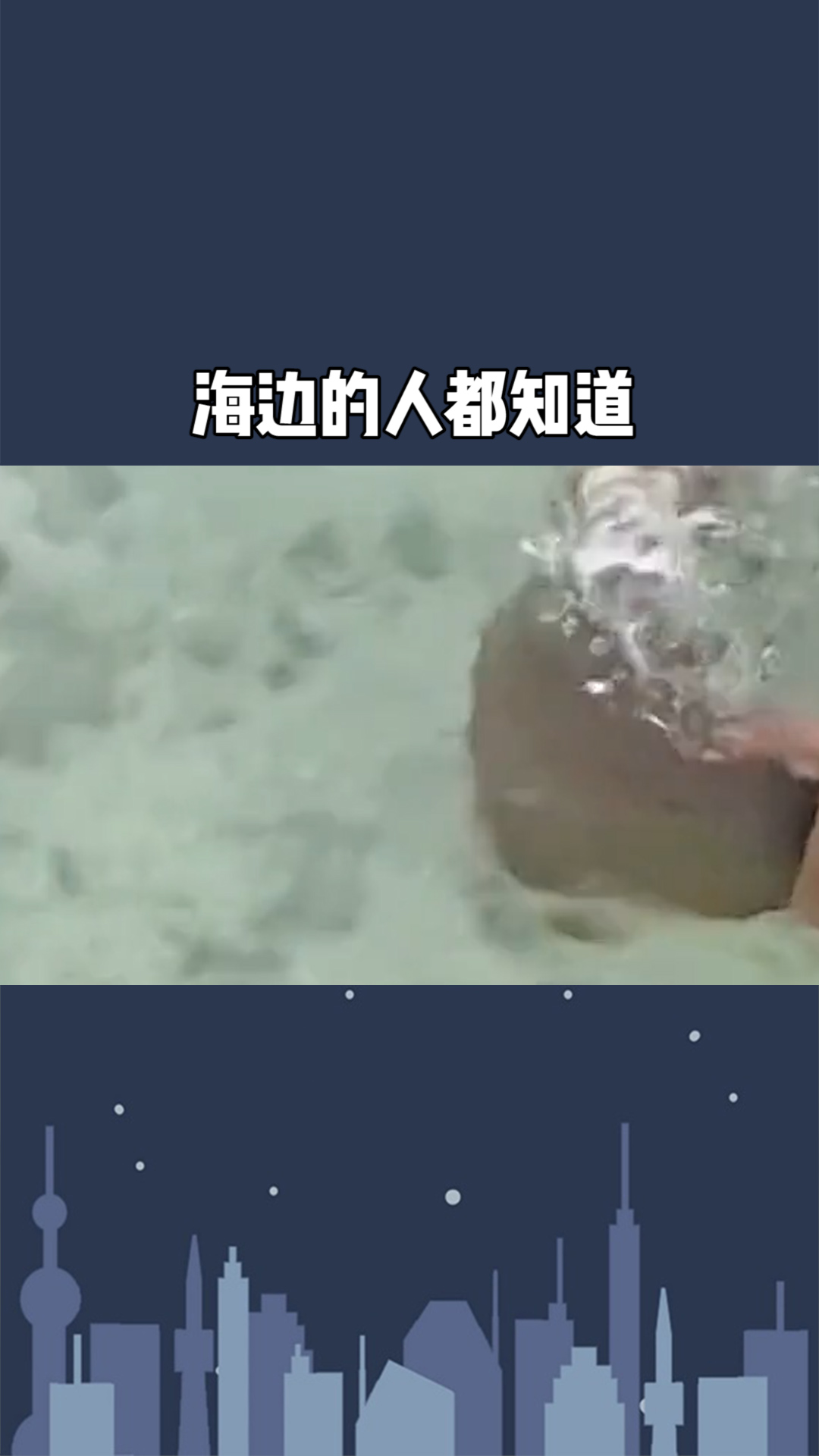 海边的人都知道这是啥