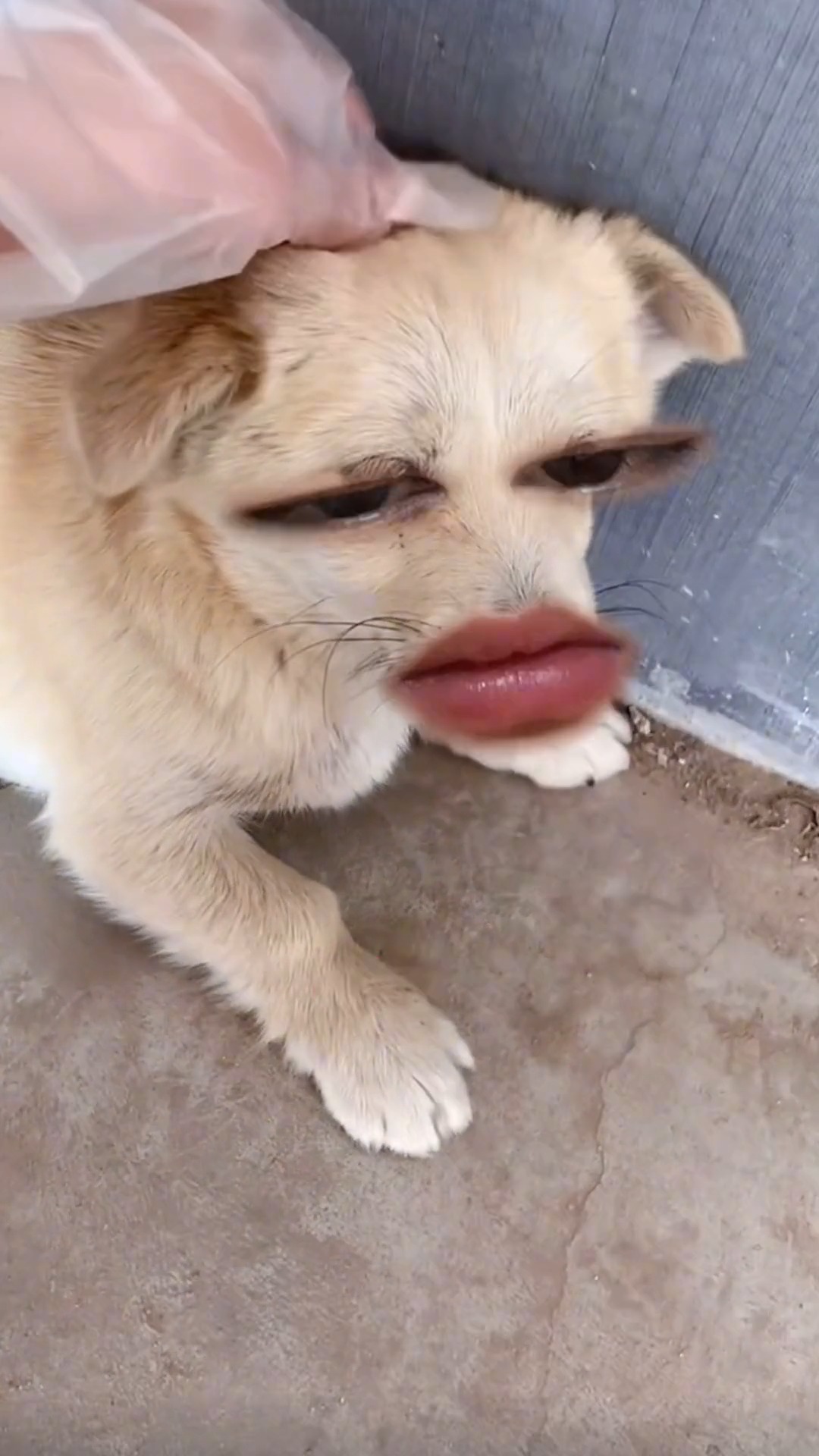 0