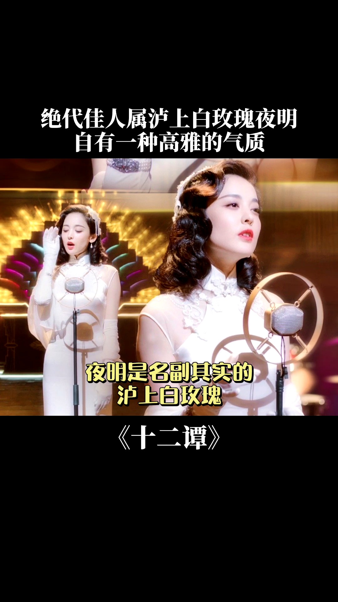 黑白玫瑰绽放，电视短剧免费观看的魅力之旅，黑白玫瑰绽放，免费电视短剧的魅力之旅