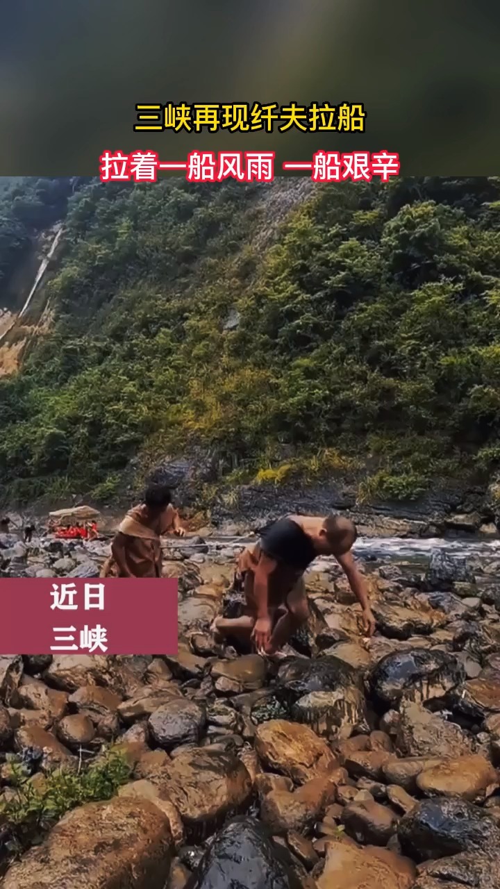 三峡再现纤夫拉船