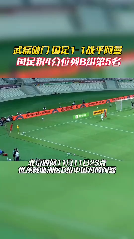 卡塔尔足球馆要买票吗，卡塔尔世界杯足球官方用球
