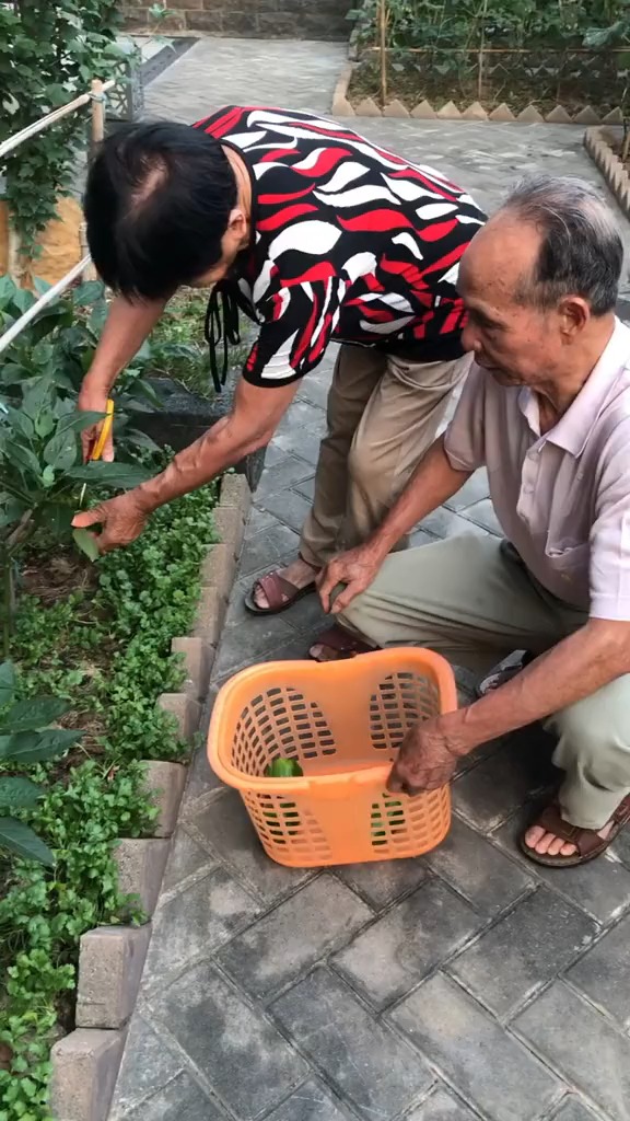 生活是一方沃土,你播下什么,你就收获什么,播下一种心态,收获一种思想