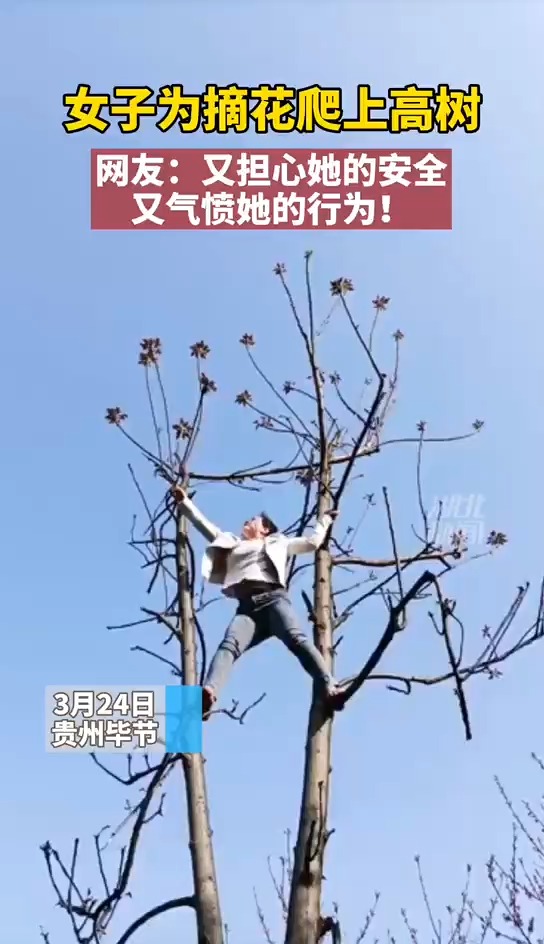 2022年：揭秘“水虎之命”的独特魅力与运势（2022是什么水命人）
