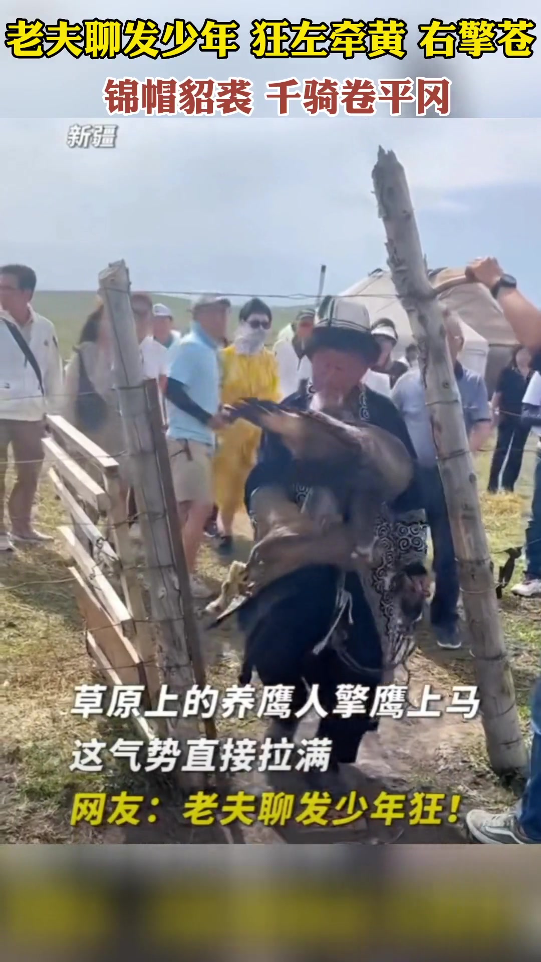 老夫聊发少年狂.左牵黄.右擎苍 锦帽貂裘,千骑卷平冈