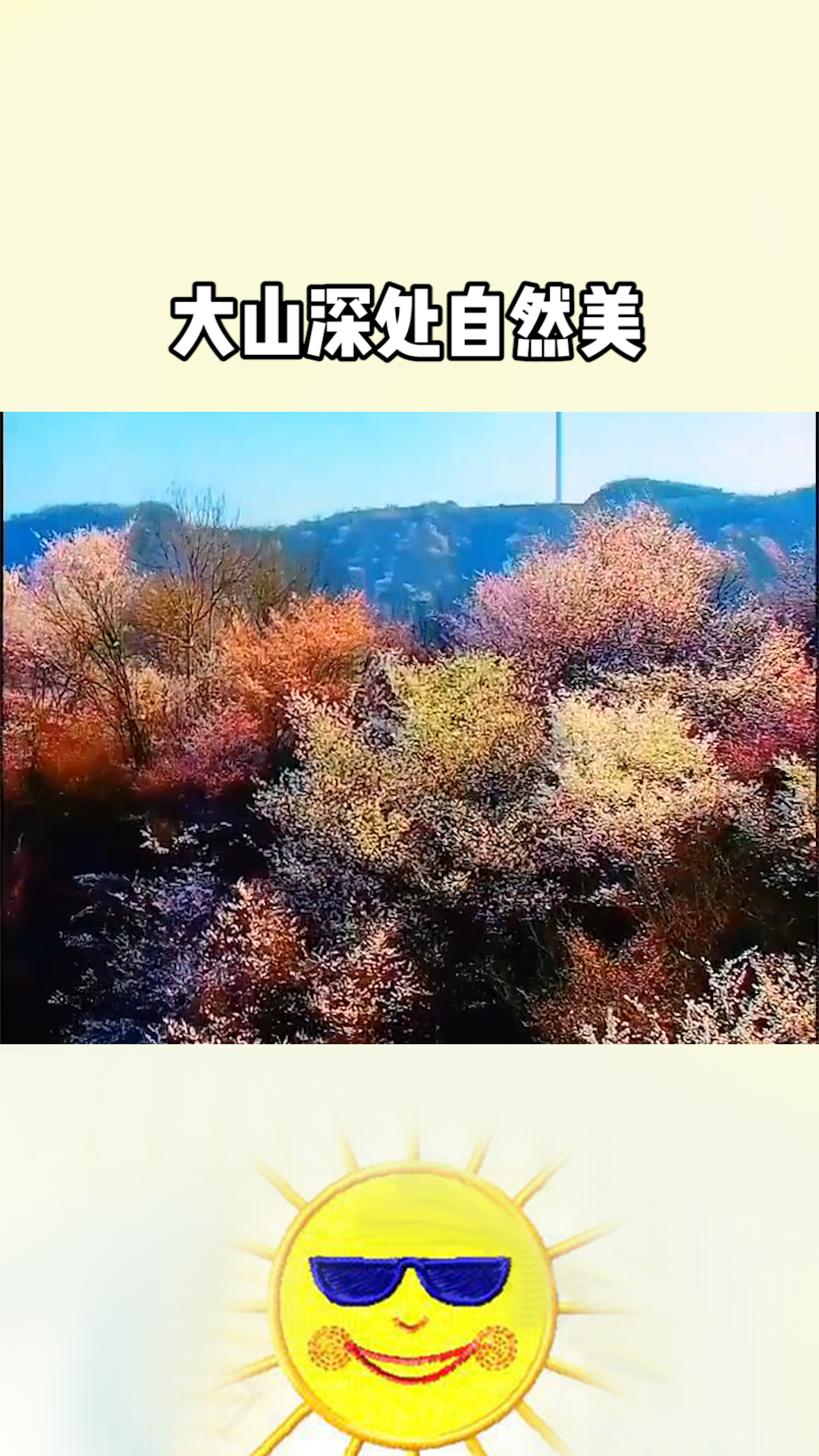 今年一定要来信阳的光山看超美的樱花#求一个神评加持 