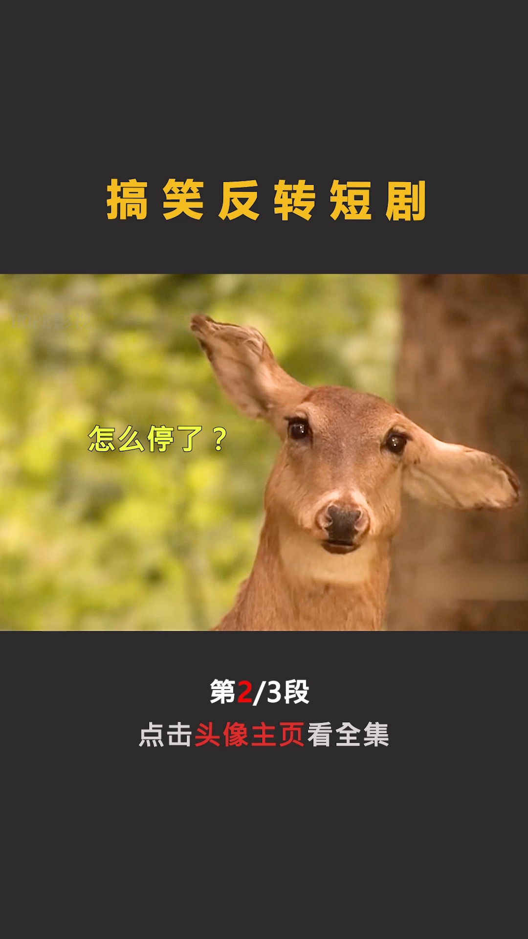 短剧鸟说的魅力与启示