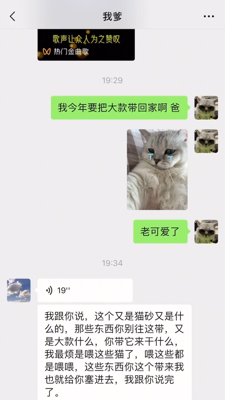 《我最烦喂猫了》《带猫回来我就给你扔了》