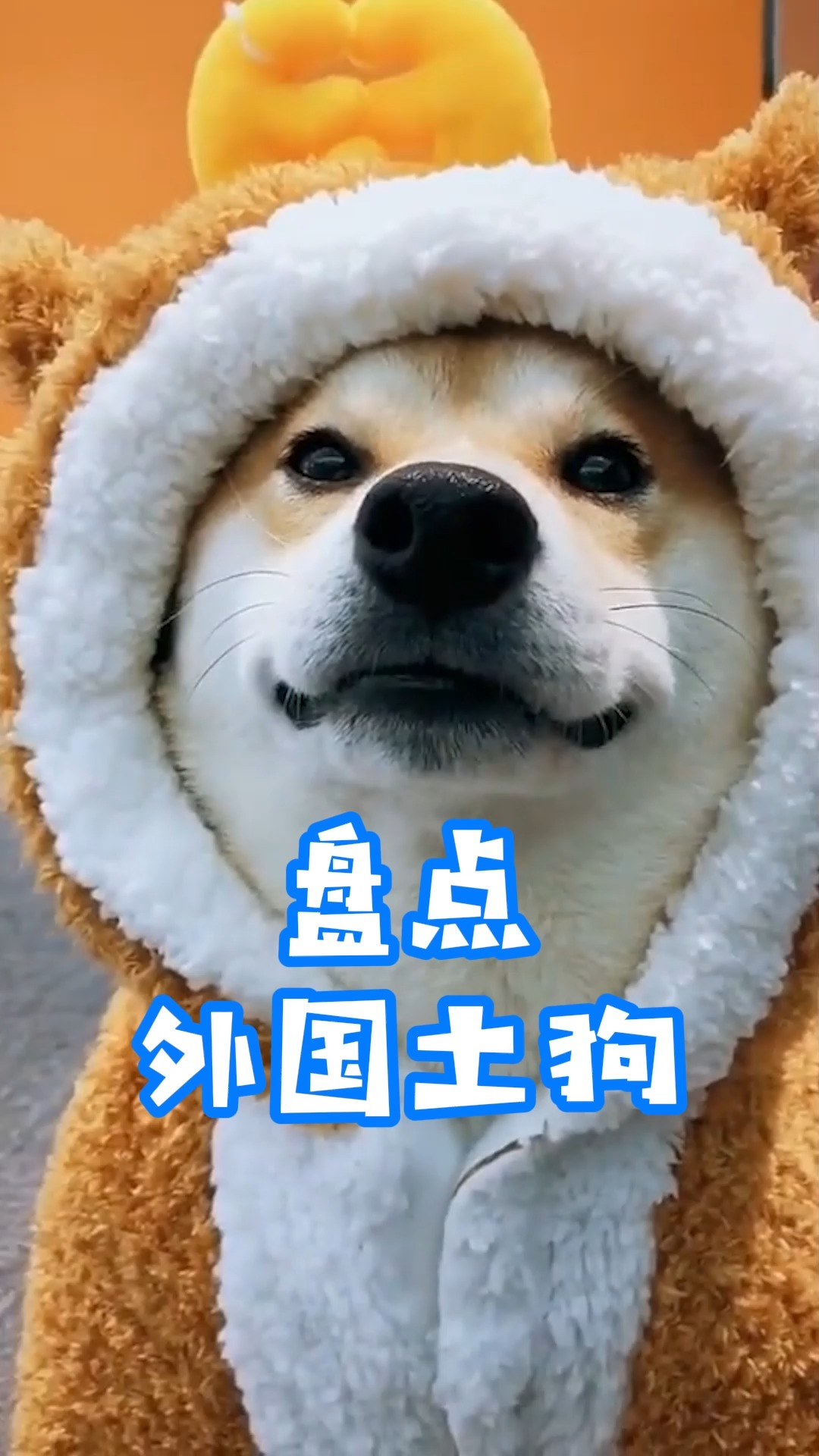 海外土狗短剧，文化碰撞下的新潮流