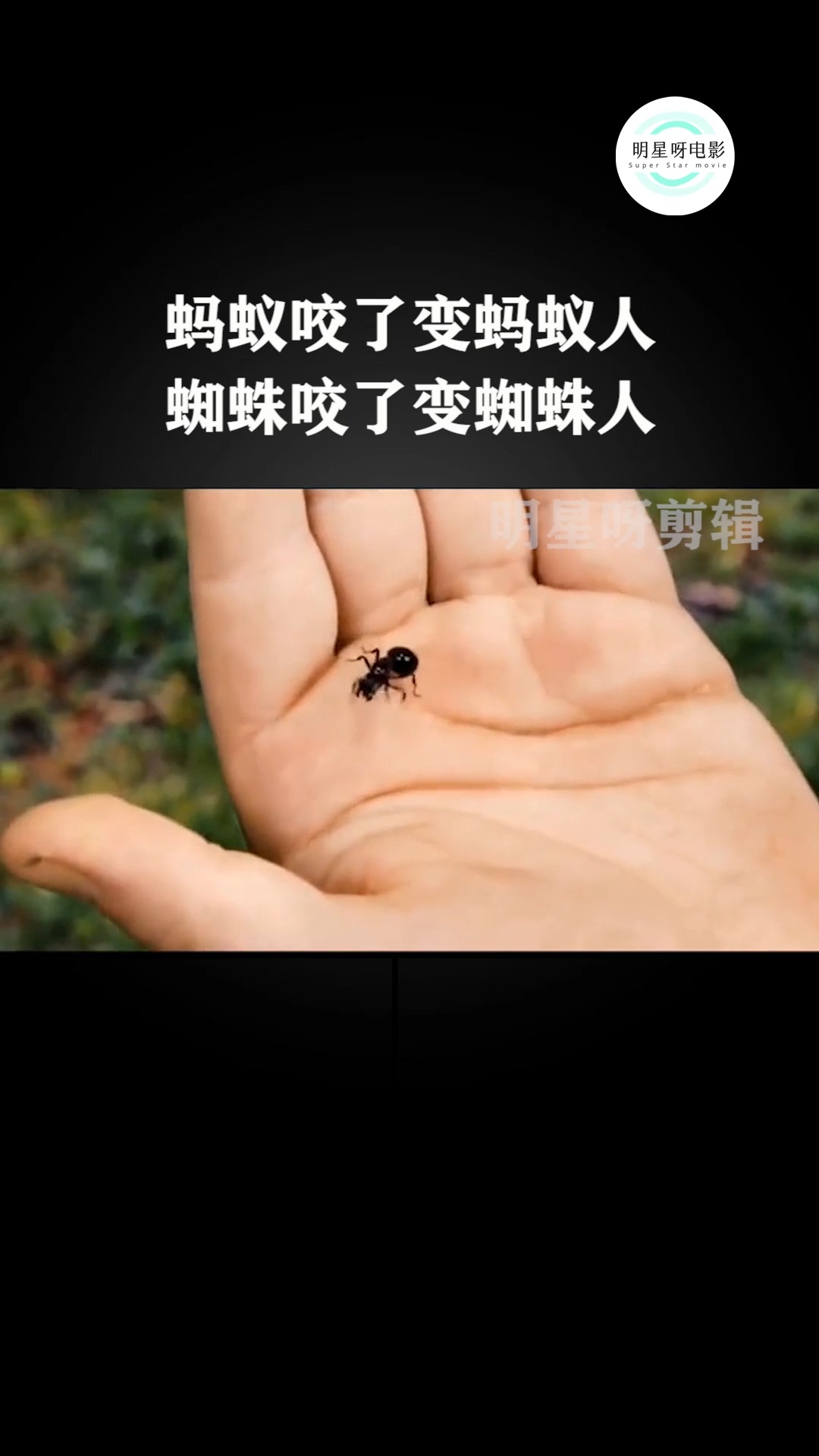 蚂蚁咬了叫蚂蚁人,蜘蛛咬了叫蜘蛛人,那被狗咬了叫什么呢?#我要上热门 #影视剪辑 