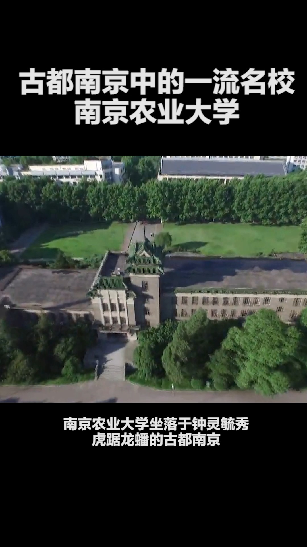 古都南京中的一流名校,南京农业大学是你的志愿所选么?