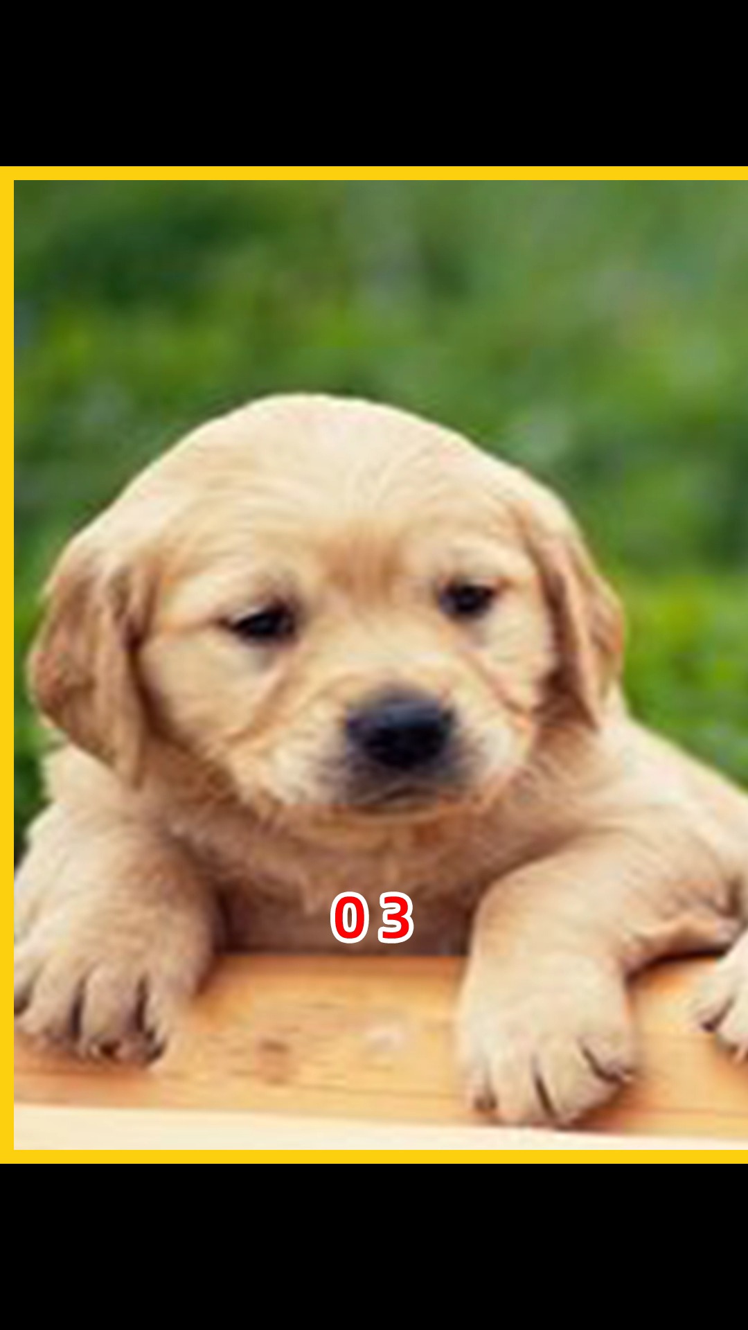 0