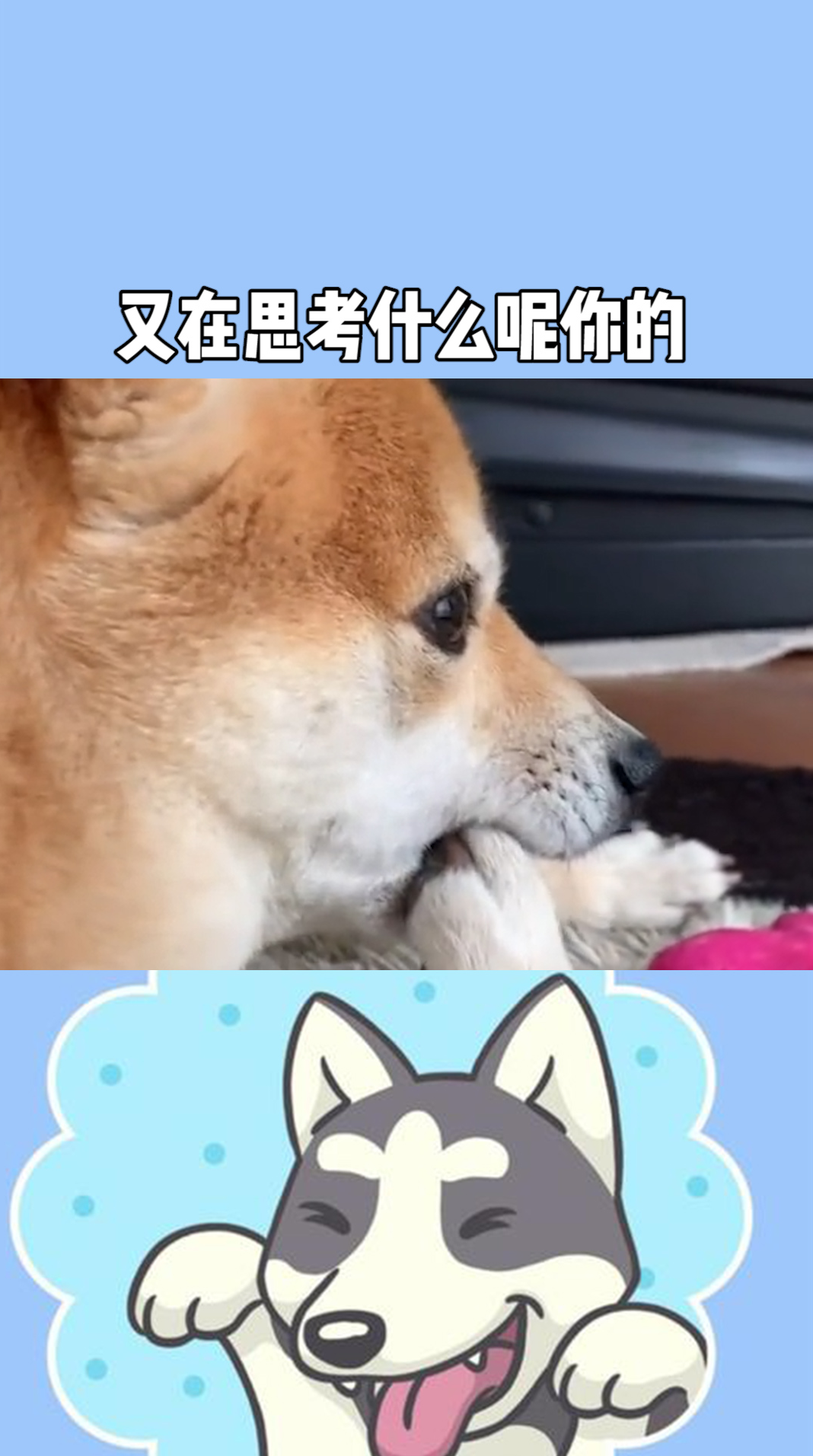 修狗短剧，探索现代娱乐的微小世界