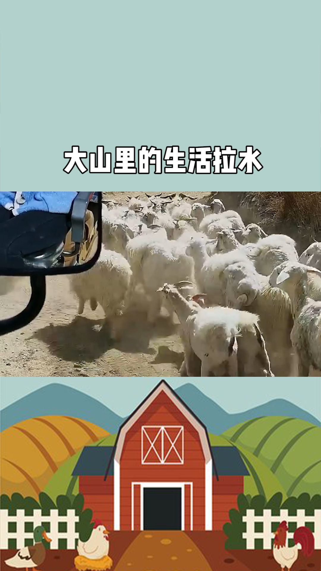 大山里的生活 