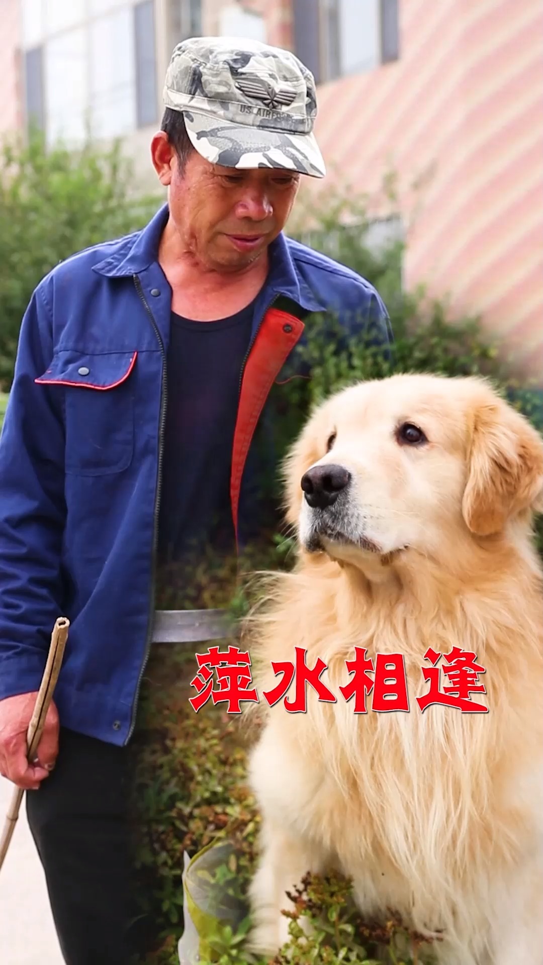 娇妻萌宠，短剧免费观看的快乐时光，娇妻萌宠，免费短剧，快乐观影时光