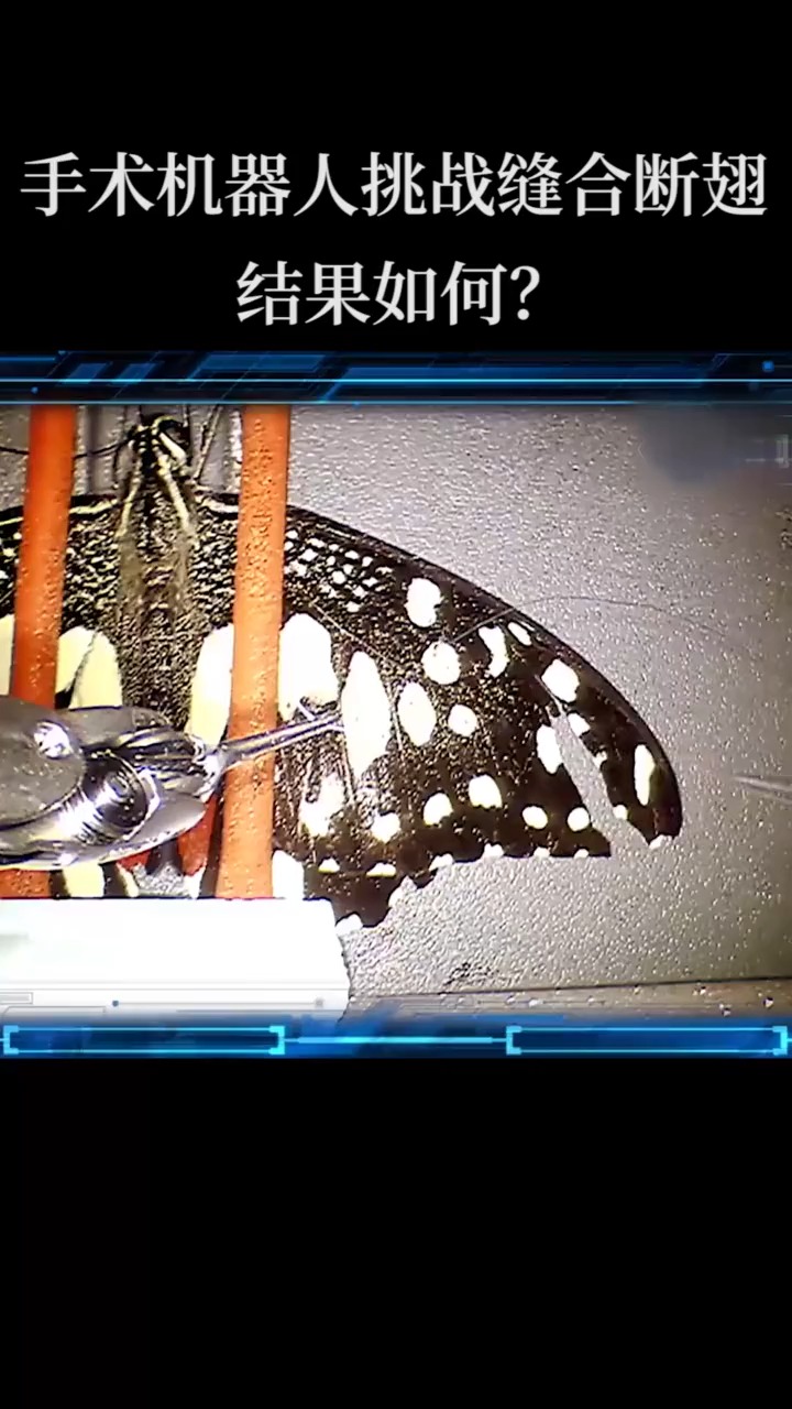 手术机器人挑战缝合蝴蝶翅膀，折翼蝴蝶能否再次起舞？