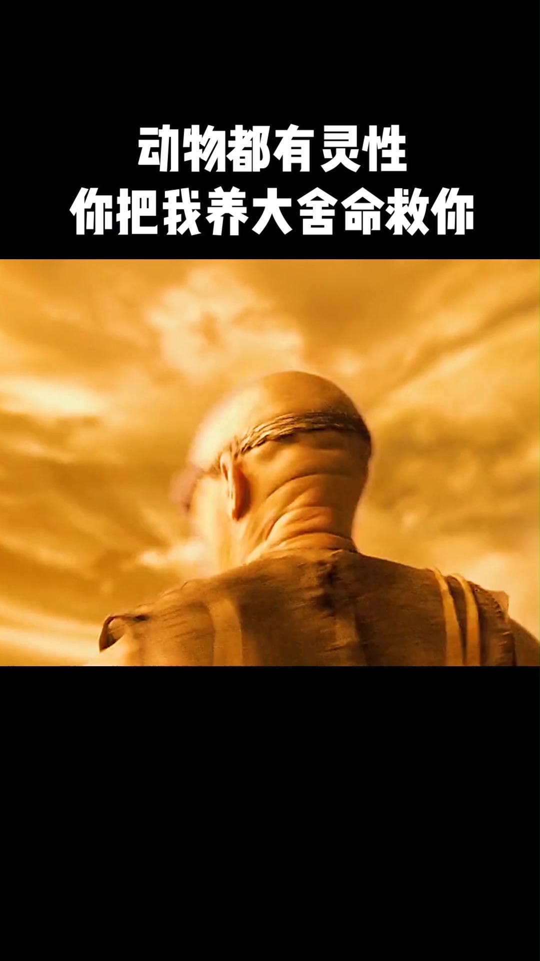 星际传奇3什么时候上映，《星际传奇3》