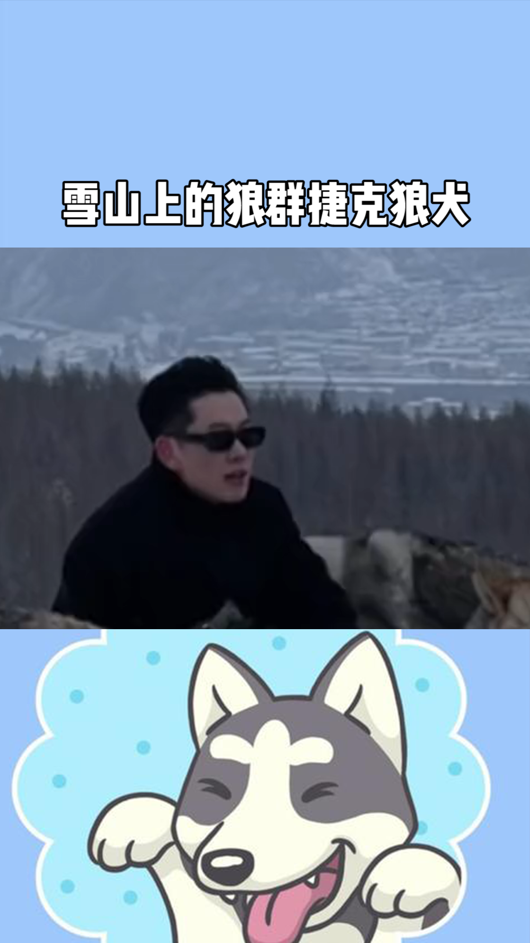 长白山的主人,雪山上的狼群捷克狼犬