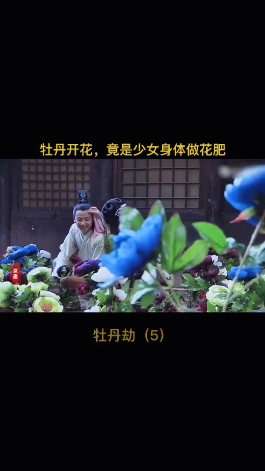 奇异牡丹花发出馨香,竟然是这么做的!丧尽天良#我要上热门 