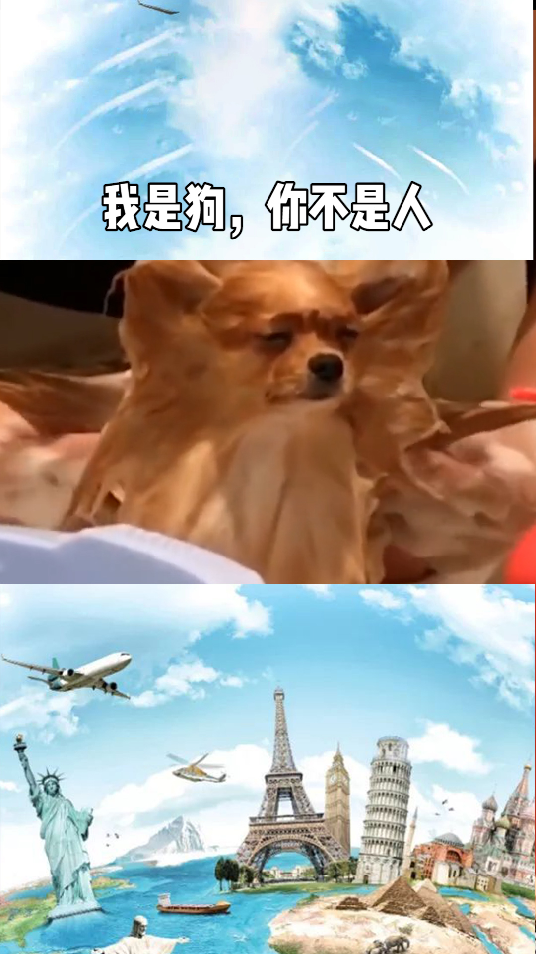 我是狗,你不是人