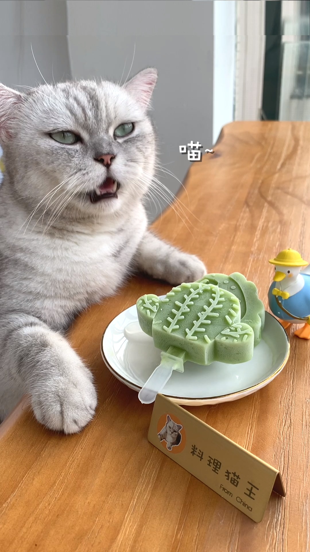  猫王：你吃过仙人掌吗？