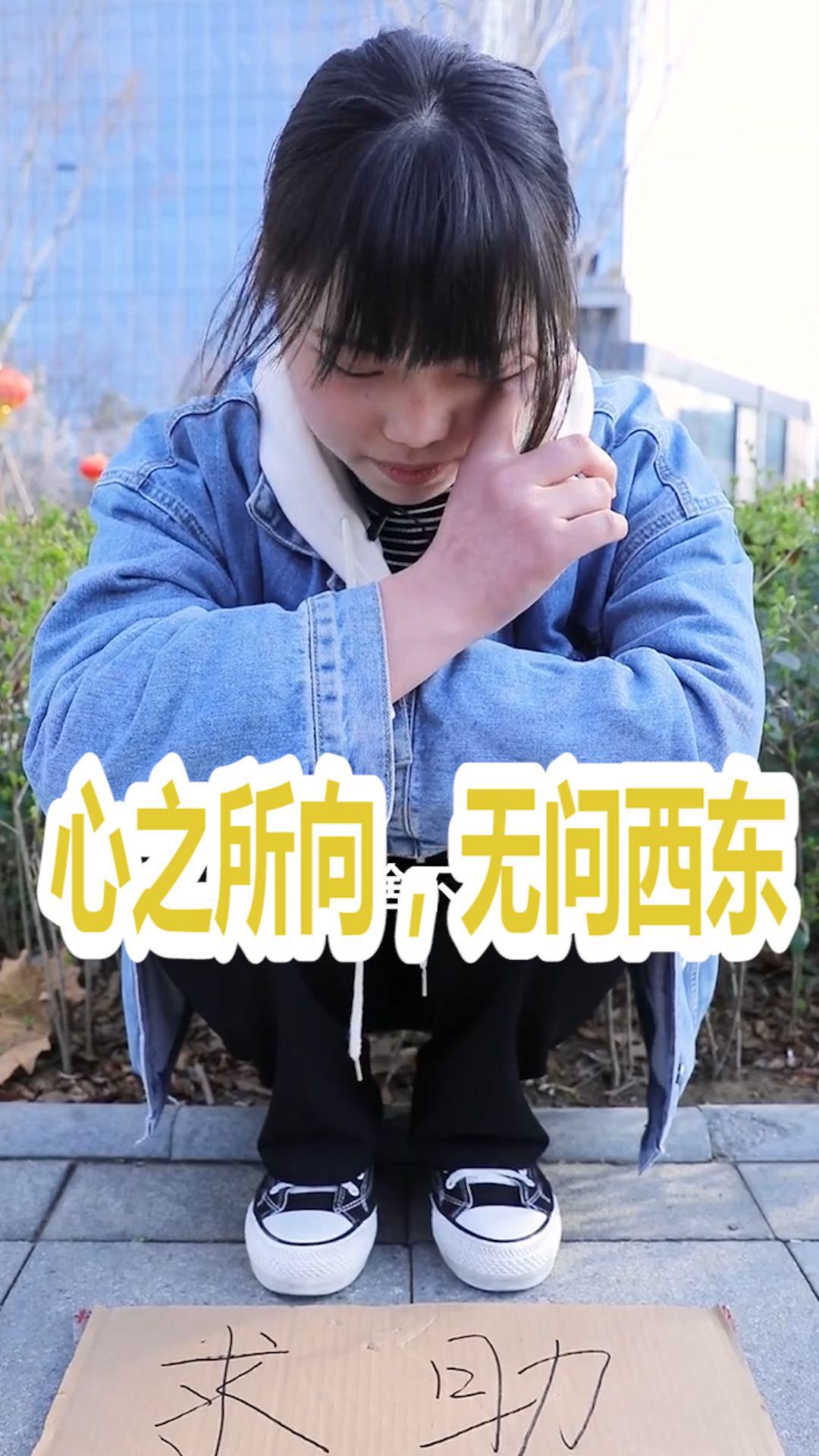 心顺短剧，探索现代生活中的情感表达与艺术魅力