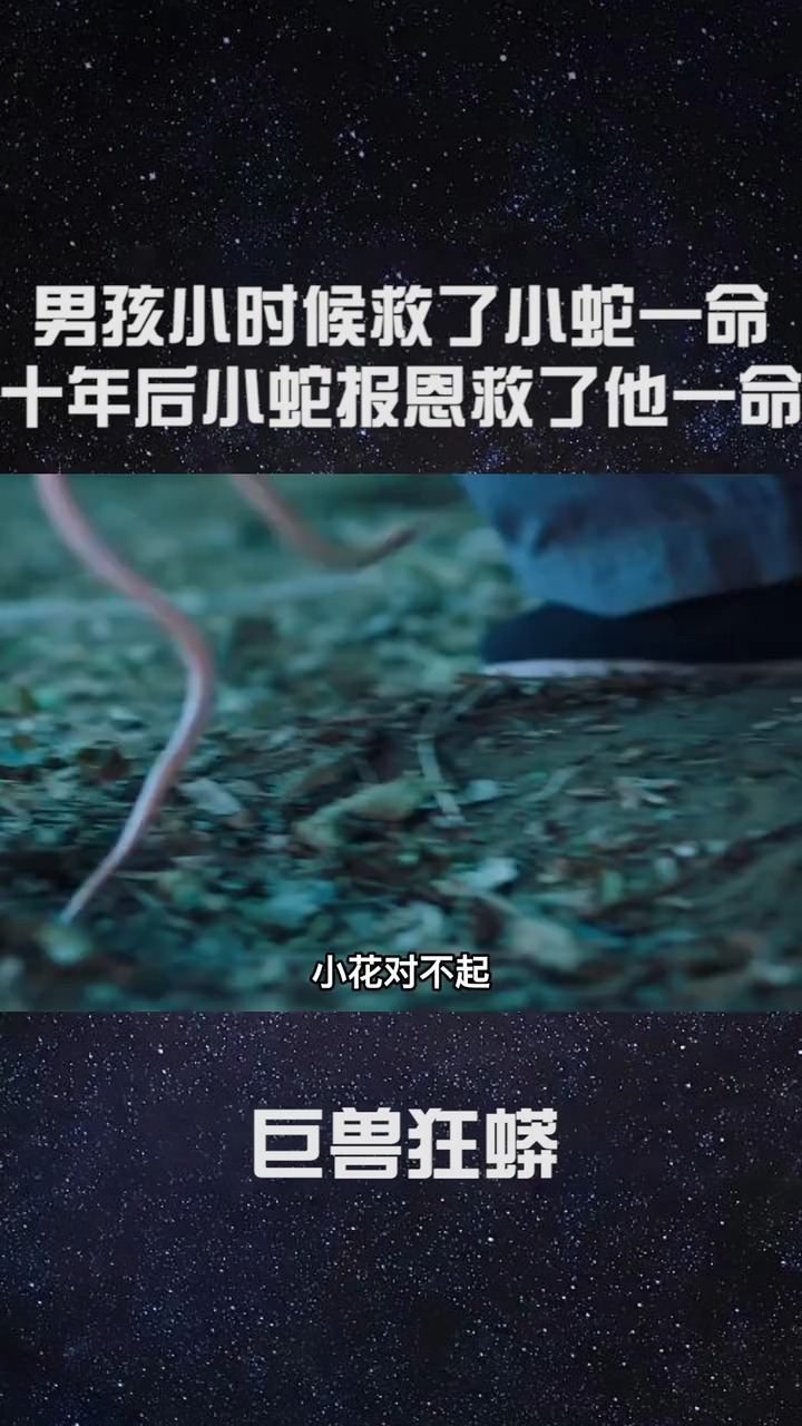 孕妇梦见大蛇生小蛇，梦境中的生命隐喻与深层暗示