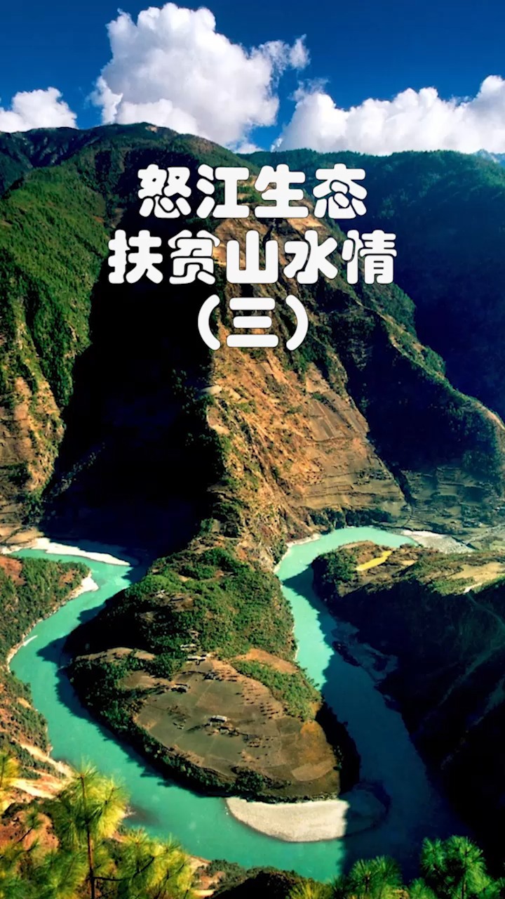 怒江生态扶贫山水情(三)|念好“山字经”唱活“林草戏