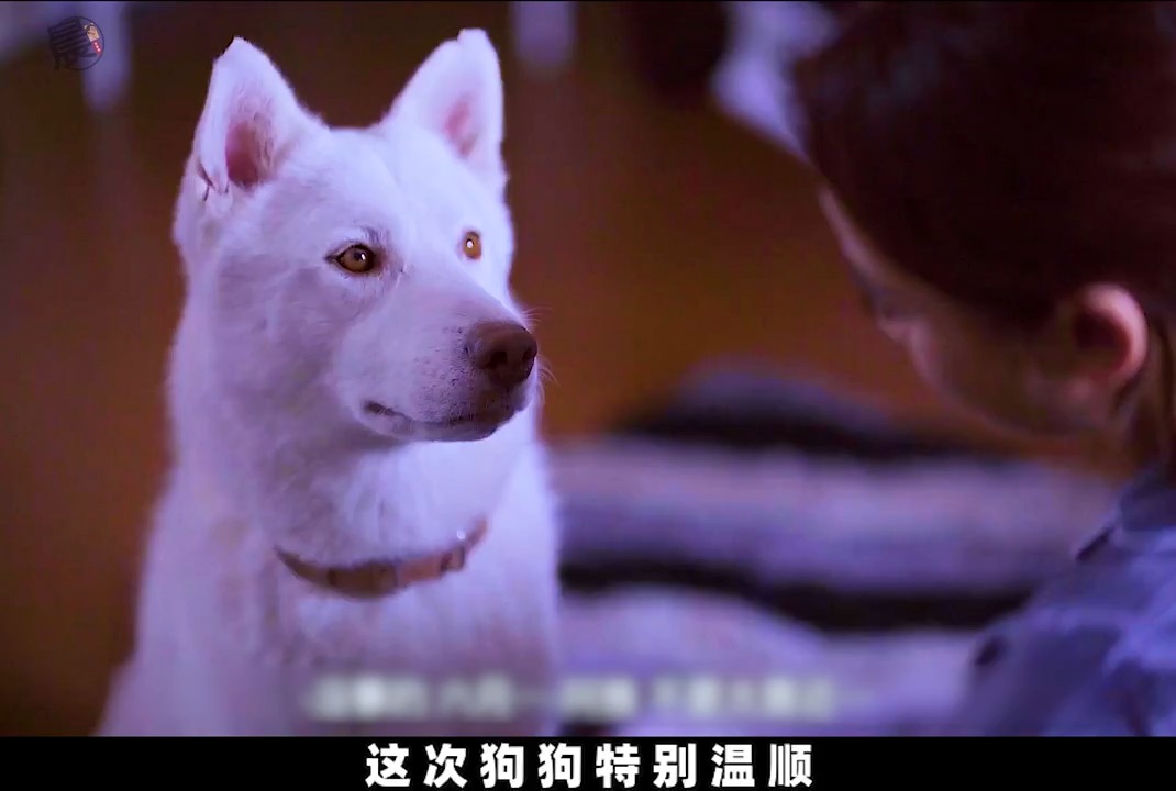 向狮子座女生要照片：尊重、策略与真诚的艺术（向狮子座女生要照片吗）