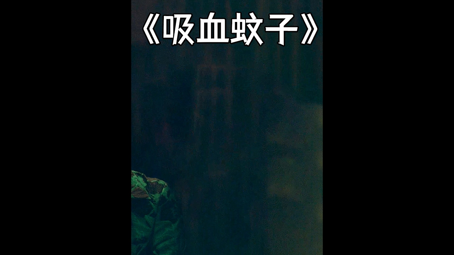 梦见自己小便都是血很多，梦境解析与心理启示