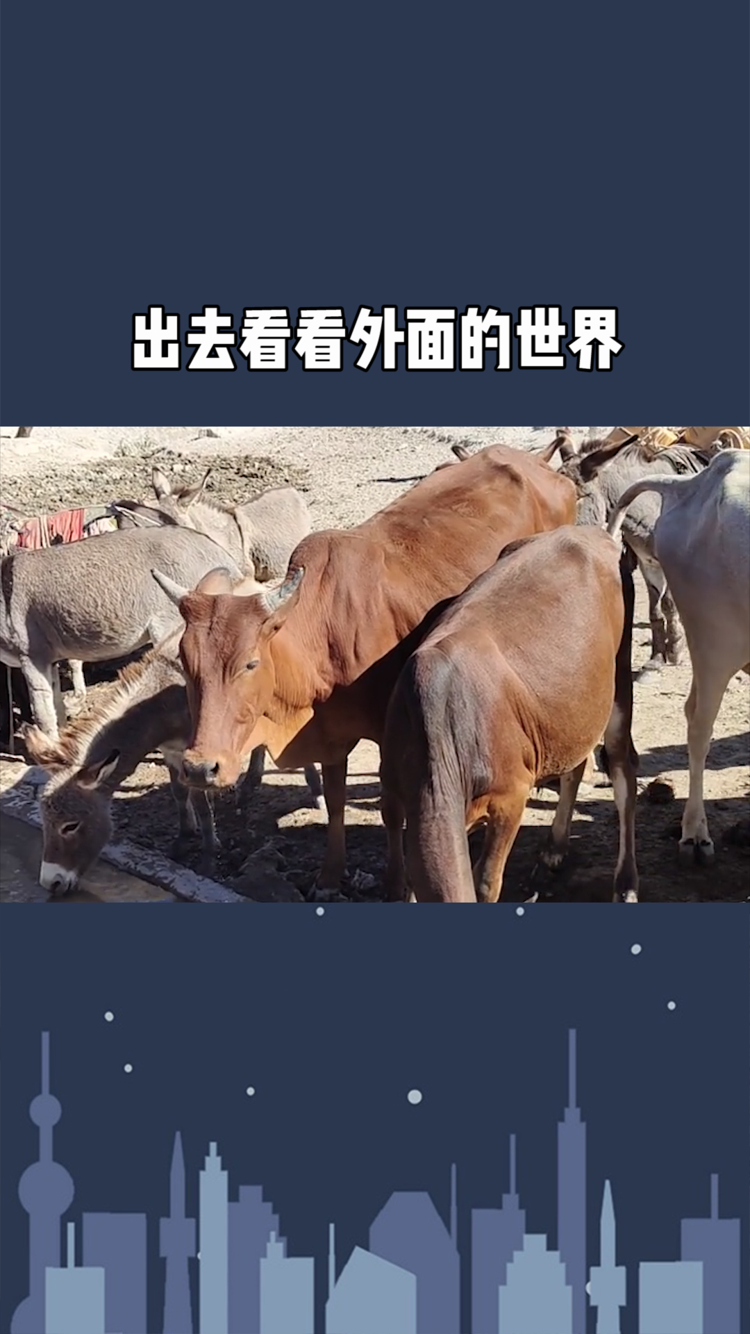 念着你,给了我明媚的阳光.