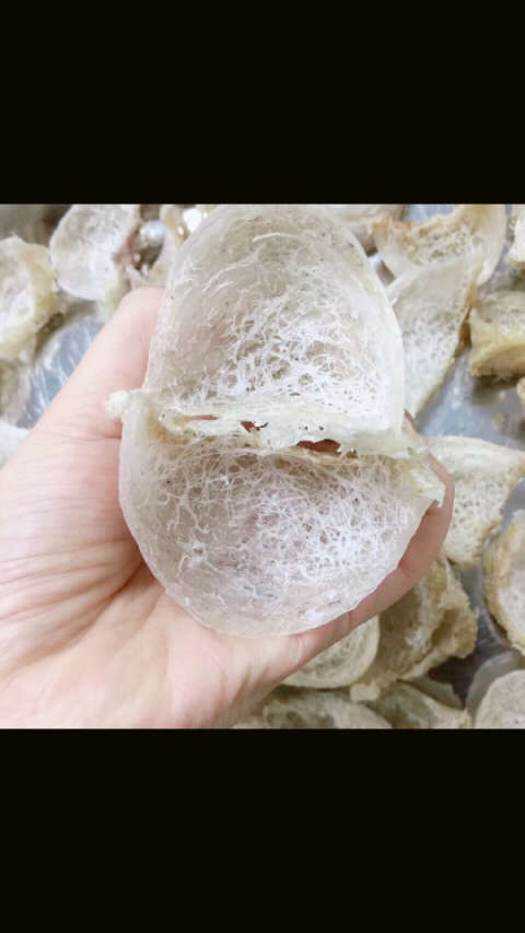 纯野生洞燕～营养是普通燕窝的数十倍,别看长得很丑陋,价格昂贵很少有