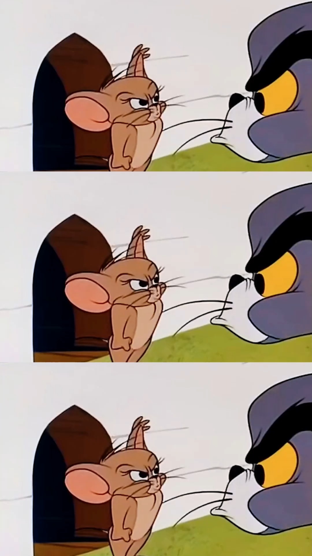 猫和老鼠 | 真正的自信即巅峰#猫和老鼠