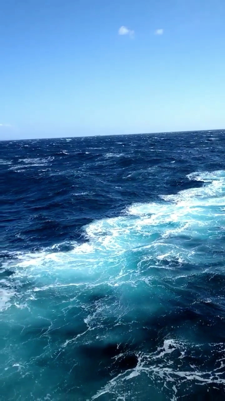 看到蓝蓝的大海,心情真是美哒哒