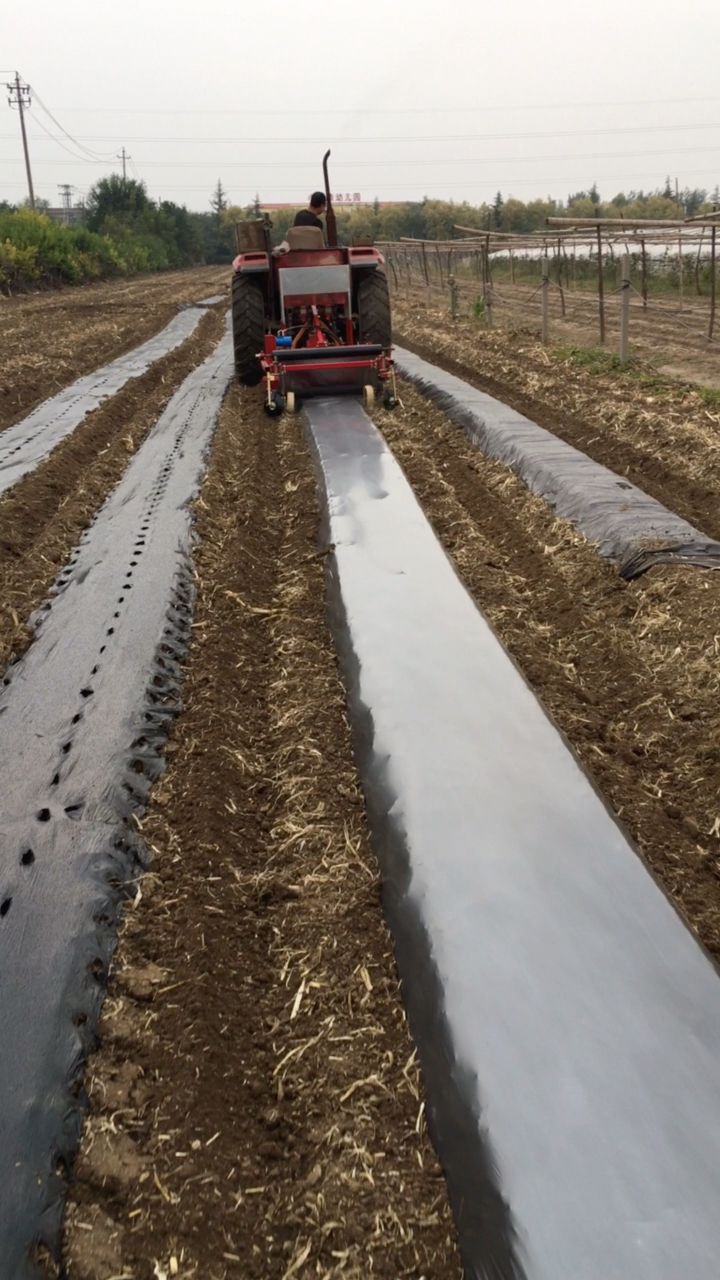 成帆120型旋耕起垄施肥铺膜铺滴灌带一体机试机
