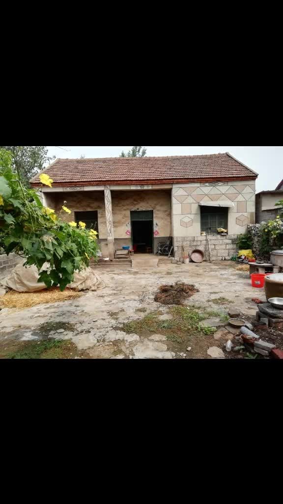 山东的老房子见过吗?