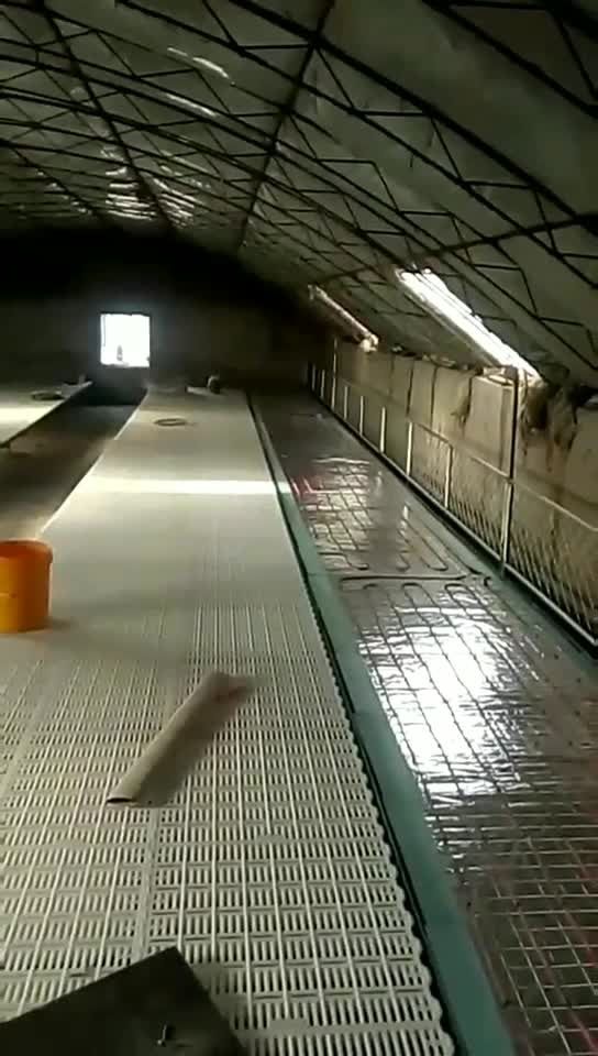 猪舍电地暖,科学养猪温度是关键.