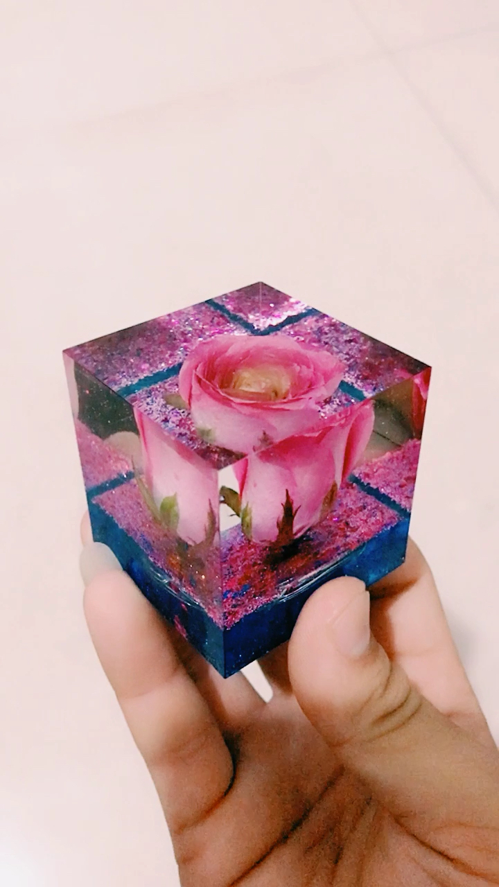 玫瑰标本