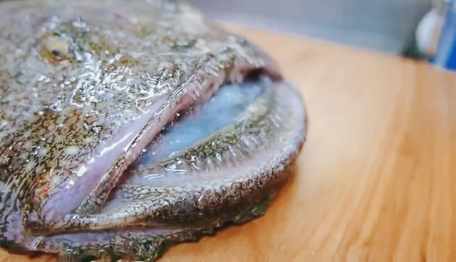 日本大师手下的的安康鱼,安康鱼又称海鬼鱼959595,被誉为海洋中