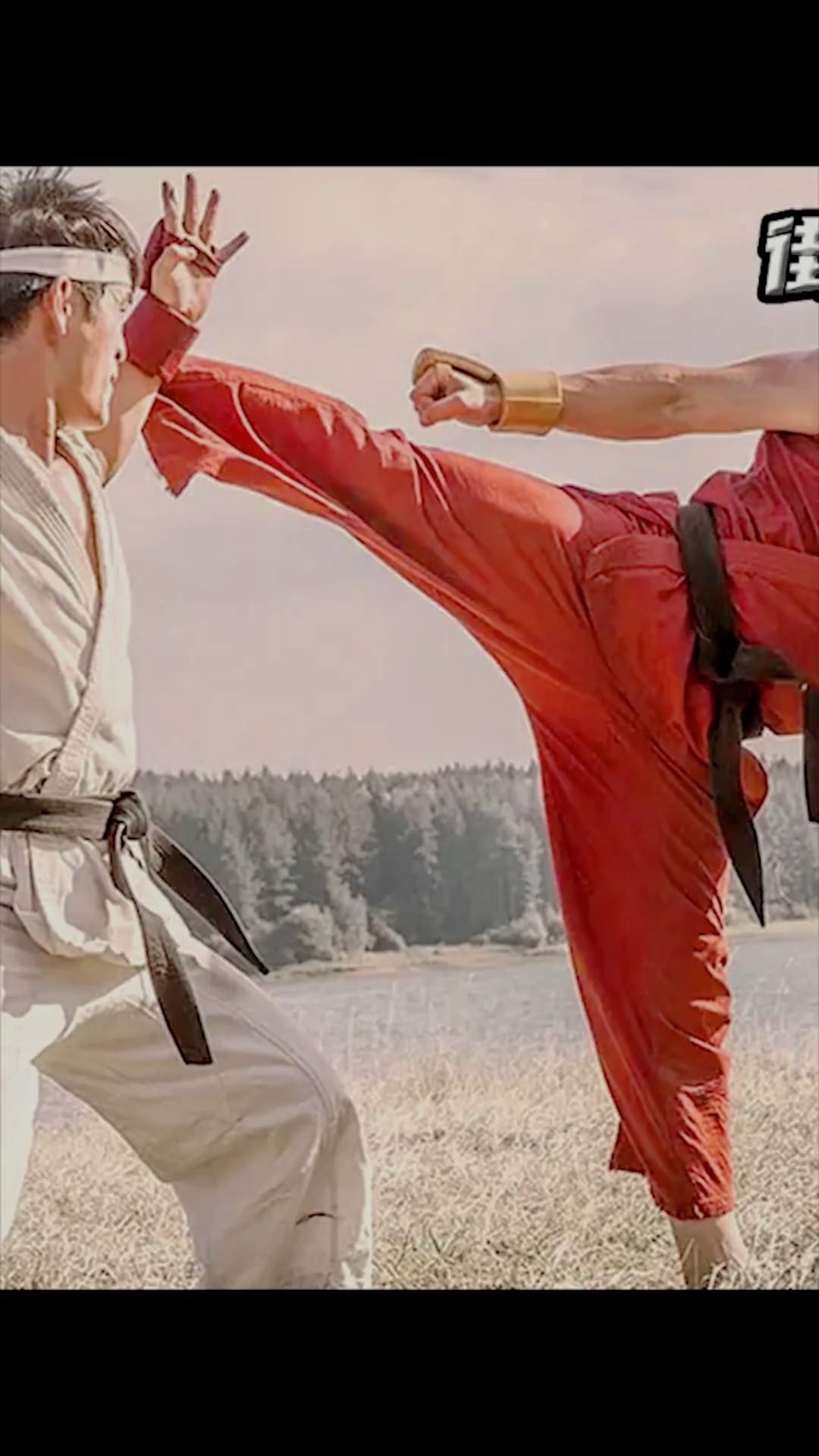 波动拳与升龙拳的回忆,一部特效不错的真人版街头霸王