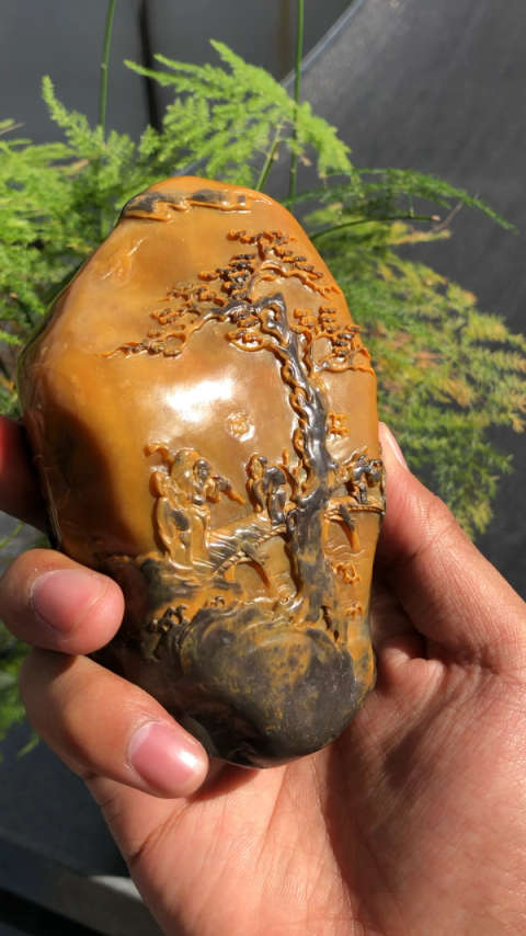 老挝乌鸦皮田黄石