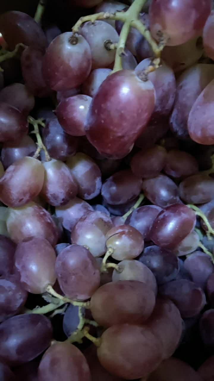 一看就是新鲜的提子