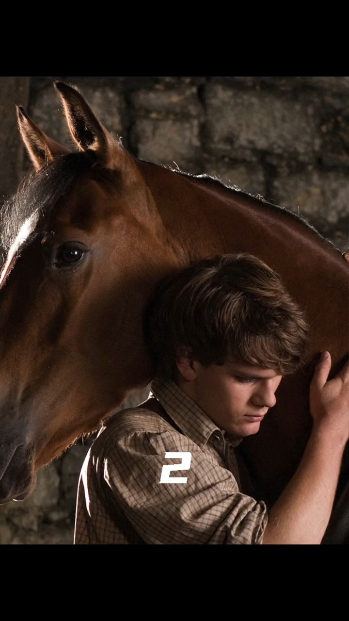 豆瓣8.1,一部没有硝烟的战争大片,却被一匹战马感动的破涕为笑